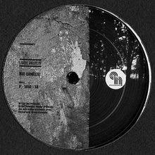 Load image into Gallery viewer, Lisière Collectif : Rue Cameliei (12")