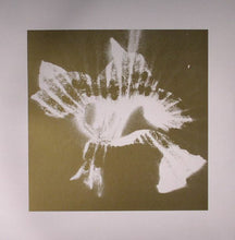 Load image into Gallery viewer, Lady Blacktronika* : Oh So Cold EP (12", EP)