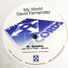 Load image into Gallery viewer, David Fernandez : My World (Quake / Colour Systems Inc. Mixes) (2x12", Promo)