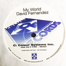 Load image into Gallery viewer, David Fernandez : My World (Quake / Colour Systems Inc. Mixes) (2x12", Promo)