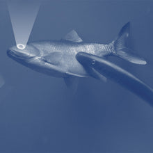 Load image into Gallery viewer, Main Hope : Main Hope EP (12", EP)