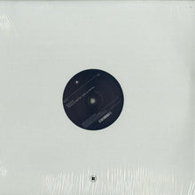 Load image into Gallery viewer, B.A.D.S. : Hous-O-Matik Hom-O-Patik (12")