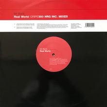 Load image into Gallery viewer, Mr. Blank : Real World (12")