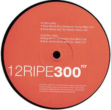 Load image into Gallery viewer, Mr. Blank : Real World (12")