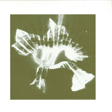 Load image into Gallery viewer, Hazylujah : 100% EP (12", EP)