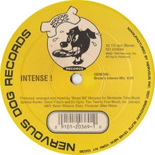 Load image into Gallery viewer, Intense (4) : Genesis (12")