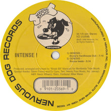 Load image into Gallery viewer, Intense (4) : Genesis (12")