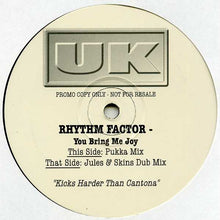 Load image into Gallery viewer, Rhythm Factor : You Bring Me Joy (2x12", Promo)