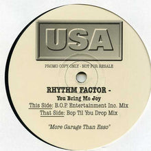 Load image into Gallery viewer, Rhythm Factor : You Bring Me Joy (2x12", Promo)