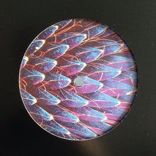 Load image into Gallery viewer, Chupacabras (5) / Brother Y : TUTAMEN 001 (12", EP)