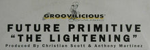 Load image into Gallery viewer, Future Primitive (2) : The Lightening (12")