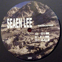 Load image into Gallery viewer, Seaen : Snowcapped (12", EP)