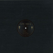 Load image into Gallery viewer, Lac Seul : Districts (12")