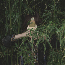 Load image into Gallery viewer, Niro* : Pieces Of You (12", EP)