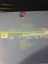 Load image into Gallery viewer, Dreadzone : Captain Dread (12")