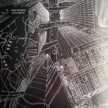 Load image into Gallery viewer, David Goldberg (2) : Opto Indepth (12")