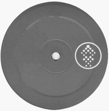 Load image into Gallery viewer, Mike Vandenberg : Flightpath (12")