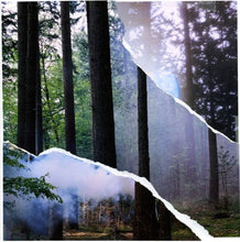 Load image into Gallery viewer, S. Channel : Never Ending Stories EP (12", EP)