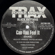 Load image into Gallery viewer, Black Rhythms : Can You Feel It (12")