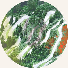 Load image into Gallery viewer, Various : P!L_WHT/002 (12")