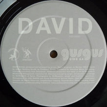 Load image into Gallery viewer, Gusgus : David (12&quot;)
