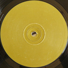 Load image into Gallery viewer, The Mind Drum : House Of Correction (12")
