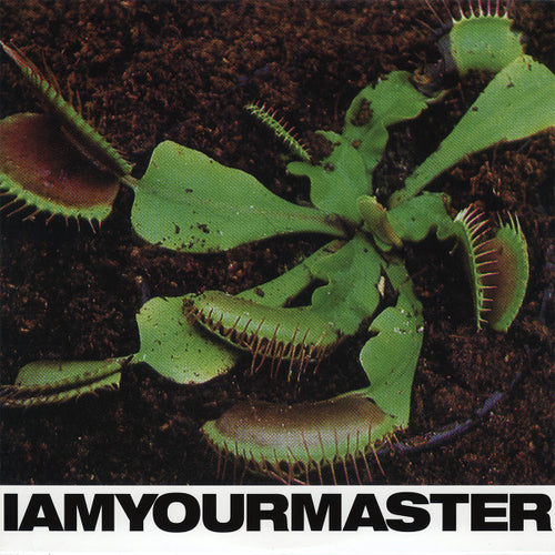 DJ Bert* & Eagle (17) : I Am Your Master (12
