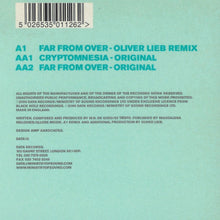 Load image into Gallery viewer, Kamaya Painters : Far From Over / Cryptomnesia (12")
