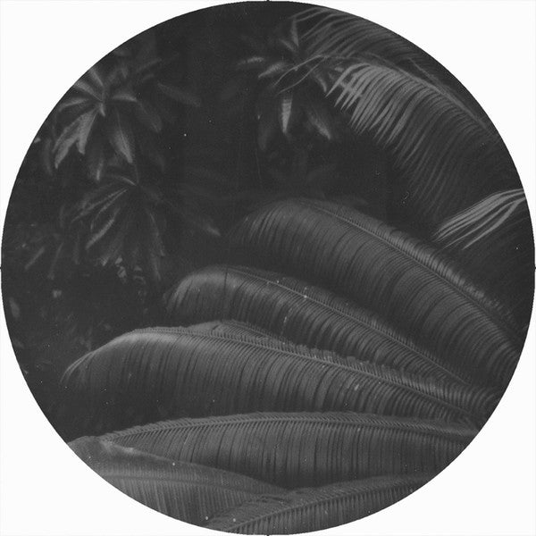 Ben Kaczor : Mind Fiction EP (12