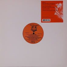 Load image into Gallery viewer, The Ananda Project : Into The Sunrise (Frankie Feliciano Mixes) (12", Ora)
