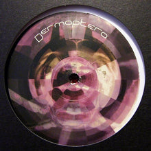Load image into Gallery viewer, Dermaptera : Dermaptera 3 (12")
