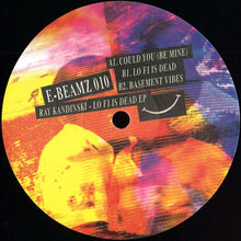 Load image into Gallery viewer, Ray Kandinski : Lo Fi Is Dead EP (12&quot;, EP)
