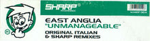 Load image into Gallery viewer, East Anglia : Unmanageable (12")
