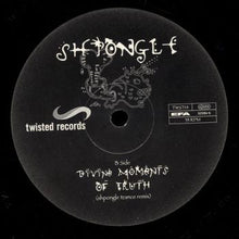 Load image into Gallery viewer, Shpongle : Divine Moments Of Truth (12")

