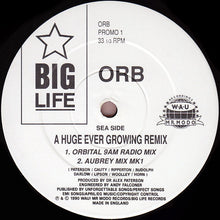 Load image into Gallery viewer, Orb* : A Huge Ever Growing Remix (12", Promo)
