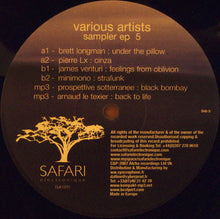 Load image into Gallery viewer, Various : Sampler EP 5 (12", EP, Smplr)
