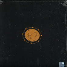 Load image into Gallery viewer, Ra Toth And The Brigante's Orchestra : Acid Sea (12")
