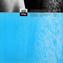 Load image into Gallery viewer, Doi-Oing : Beach (Remixes) (12&quot;)
