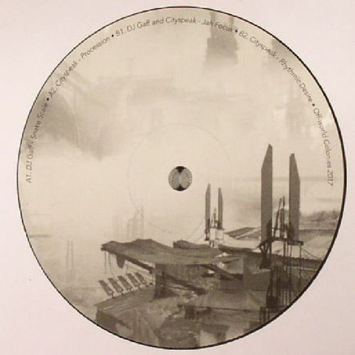 DJ Gaff & Cityspeak : Snake Scale (12