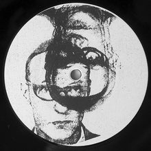 Load image into Gallery viewer, Philus : pH (12", EP, RE, RM)
