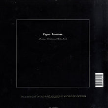 Load image into Gallery viewer, Pigon : Promises (12&quot;)
