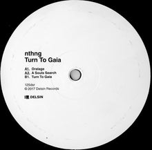 Load image into Gallery viewer, Nthng : Turn To Gaia (12", EP)
