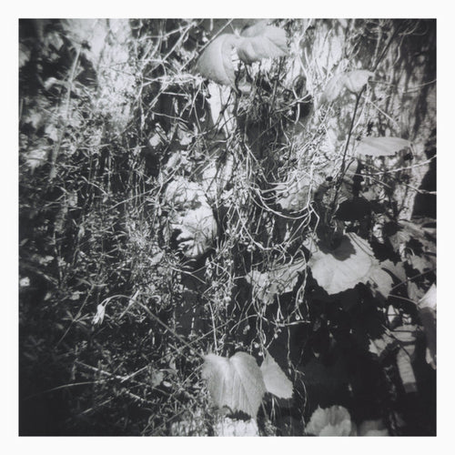 Tim Mislock : Now Is The Last Best Time (LP, Album, 180 + CD, Album)