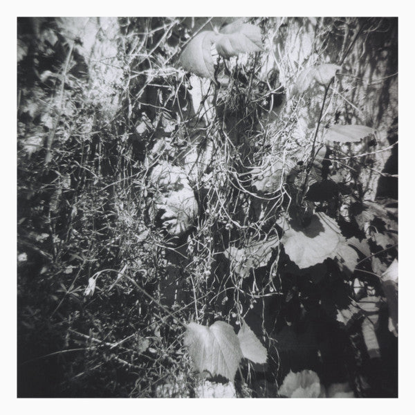 Tim Mislock : Now Is The Last Best Time (LP, Album, 180 + CD, Album)