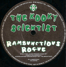 Load image into Gallery viewer, The Kooky Scientist : Rambunctious (12")
