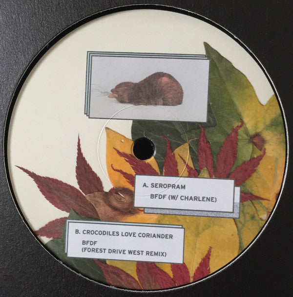 Elise (26) : Leaves From Yoyogi (12