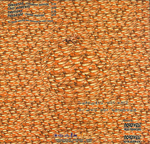 Load image into Gallery viewer, Sonic Fusion : Predator (12")
