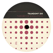 Load image into Gallery viewer, Various : Transient Six (Theory Of Evolution) (2xLP, Comp)
