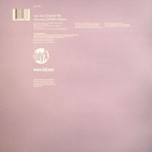 Load image into Gallery viewer, Paul Maddox &amp; DJ GRH : New York, New York (12")
