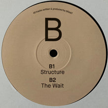 Load image into Gallery viewer, Grant (24) : Perception (2x12", Album)
